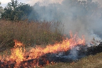 Prescribed burn workshop offered in Versailles