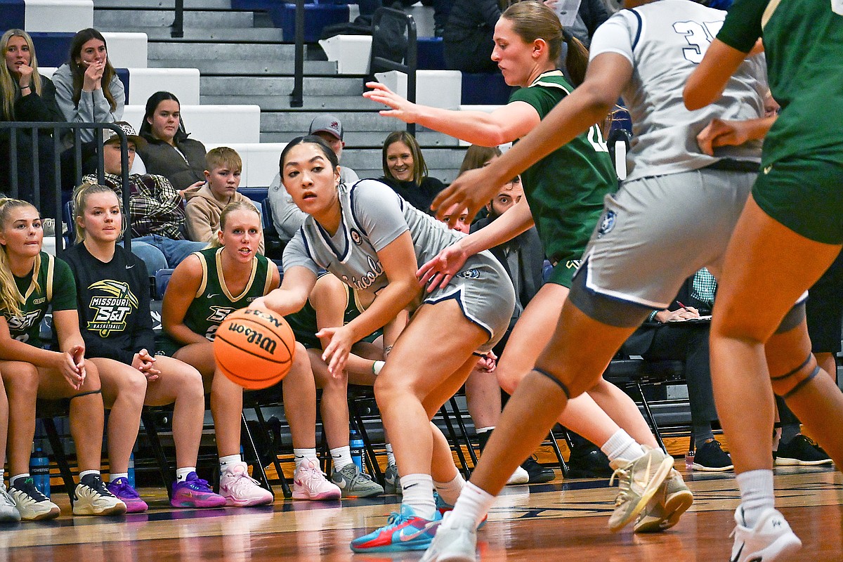 Lincoln men, women to play GLVC basketball doubleheader at Lewis ...