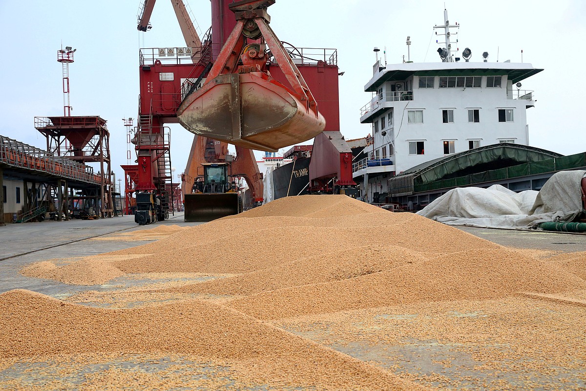 China adds 13 US soybean cargoes in new-crop buying push, sources say