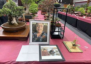 Caretakers of tiny trees: Meet oldest bonsai club in US | Jefferson City  News Tribune