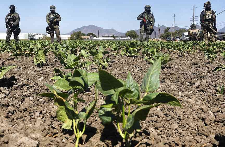 COMMENTARY: What awaits migrants to South Sudan isn’t pretty