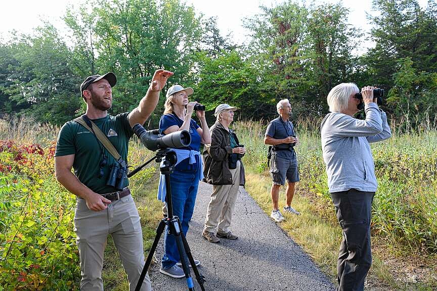 Spring Runge Birders can compete in first Missouri Birding Challenge this spring ...