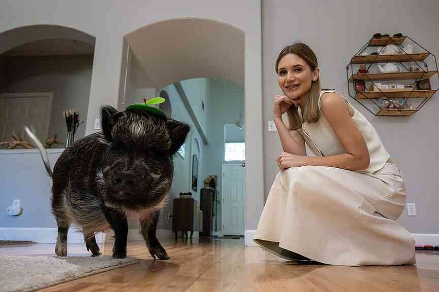 Pig got his parents together, won world record, all in 4 years