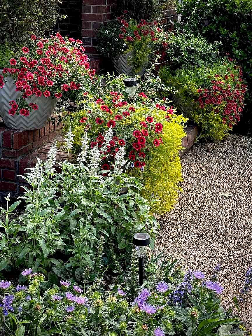 ON GARDENING: Celebrating Year of the Sedum