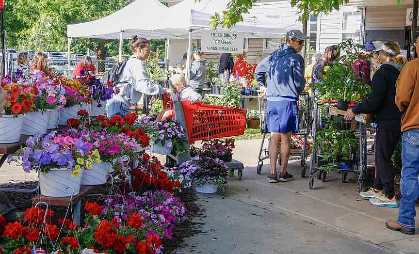 Locals flock to Master Gardeners’ annual plant sale for botany, bargains