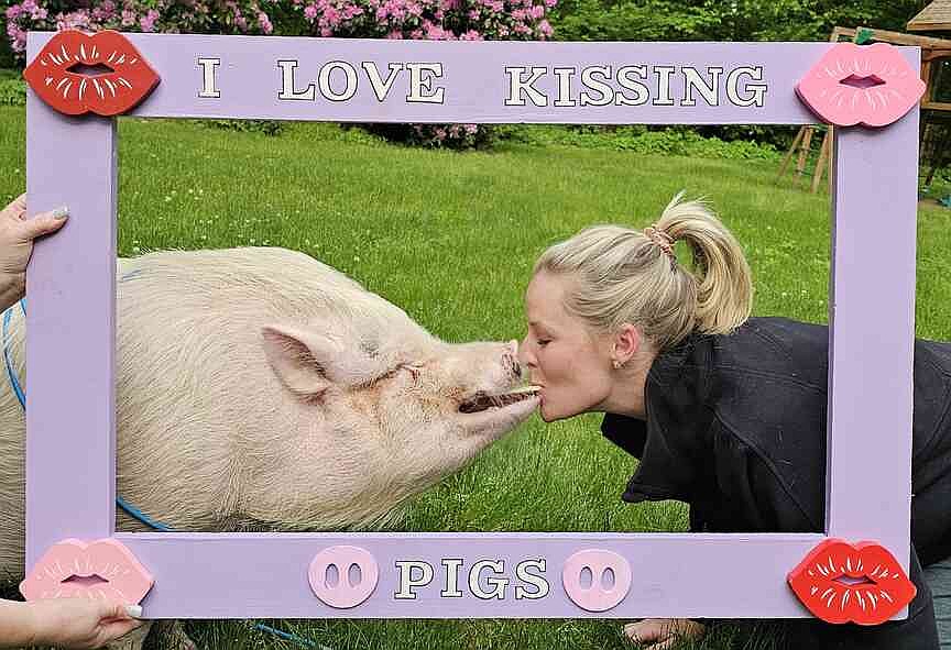 Family with famous pig hopes to save, educate about more porcines