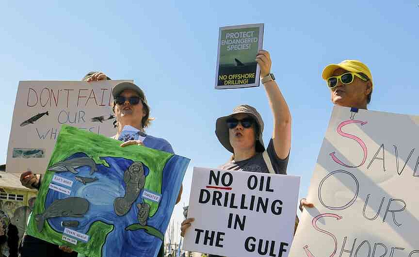 Politicians cited his research to discredit Gulf whale protections — he says that’s wrong