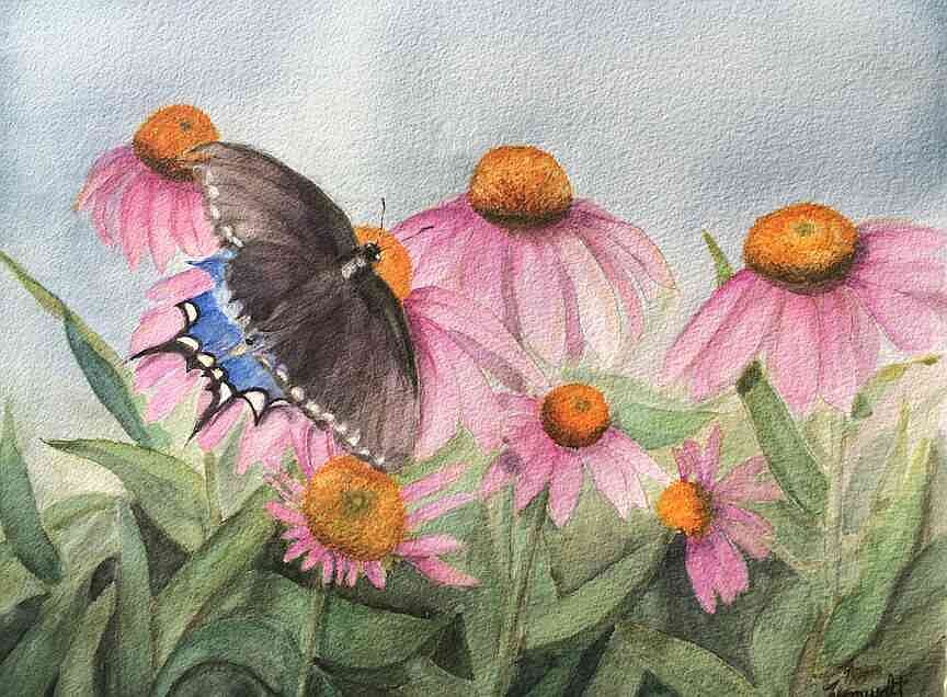 Jefferson Farm and Garden to hold Butterfly Festival on Saturday