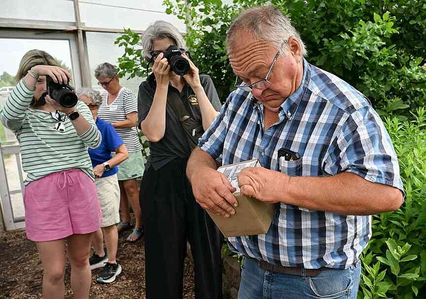 Butterflies arrive just in time to show off during this weekend’s festival