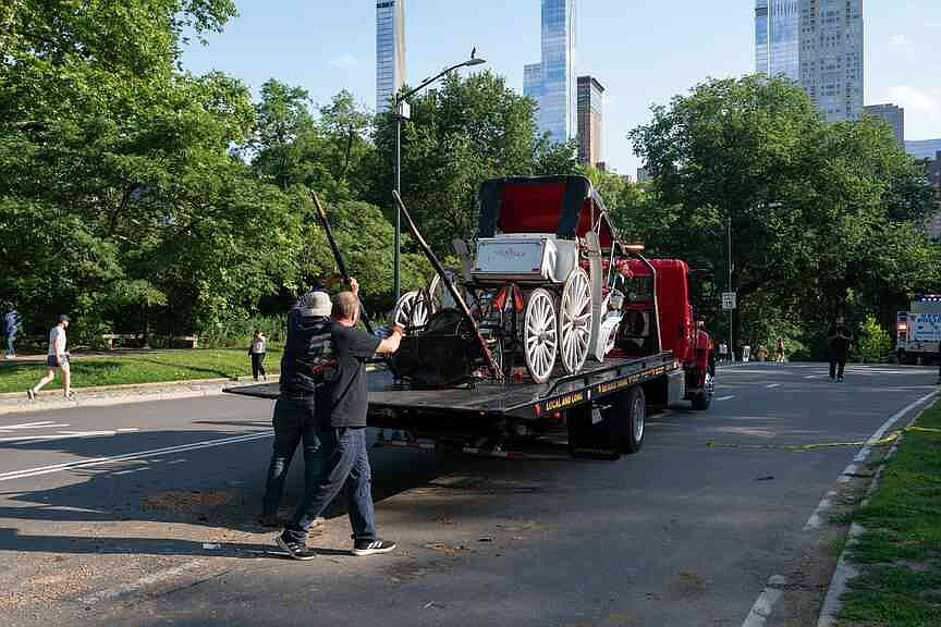 NYPD investigating Central Park carriage horse crash that killed teen tourist