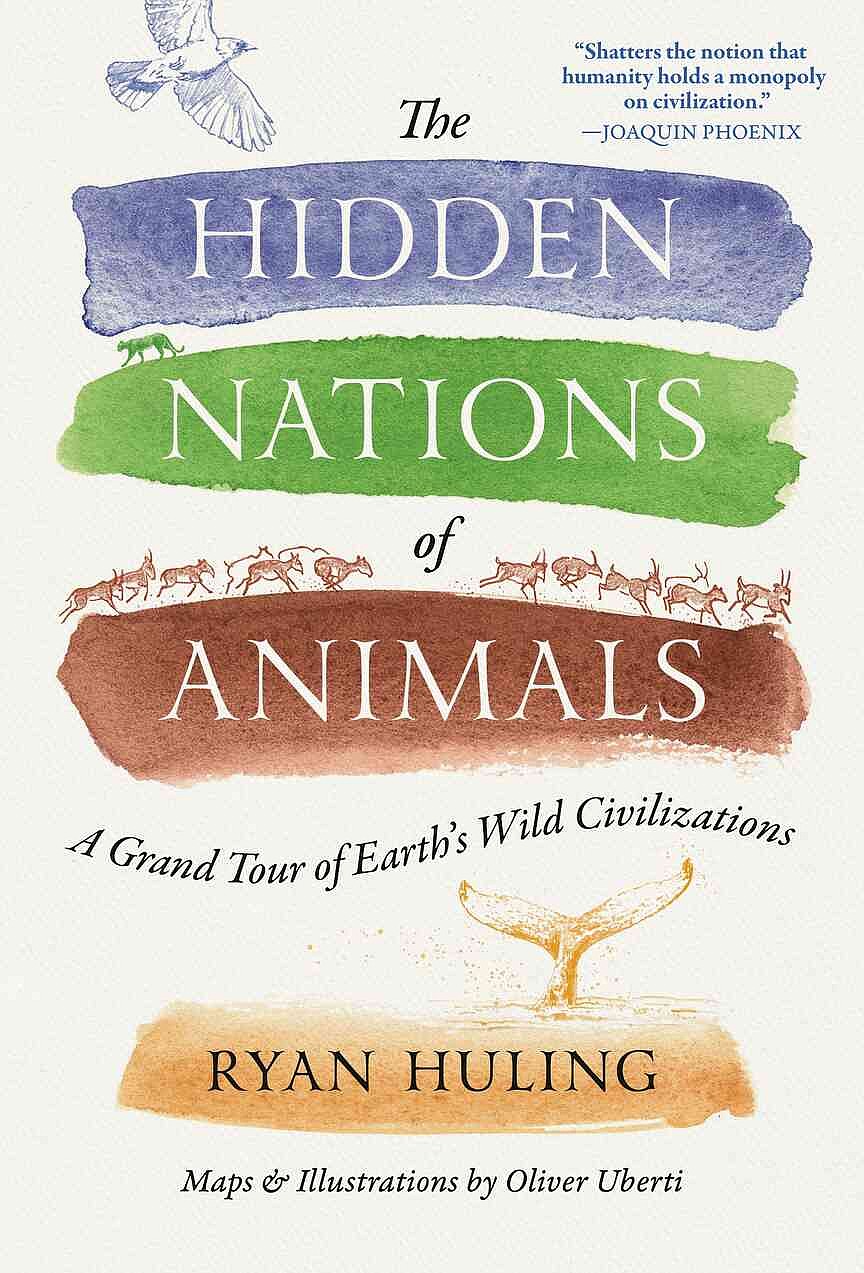 How a California wildfire inspired book about hidden animal societies