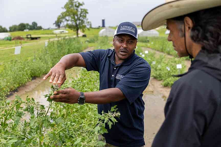 LU to host educational Quinoa Field Day