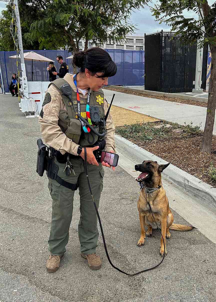 Soccer-World Cup working dogs sniff out threats, send security signal
