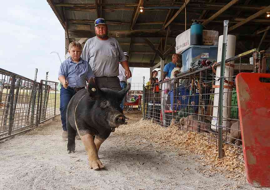 Youths showed off some hefty pigs in hopes of having the best one at the Jefferson City Jaycees Cole County Fairgrounds.