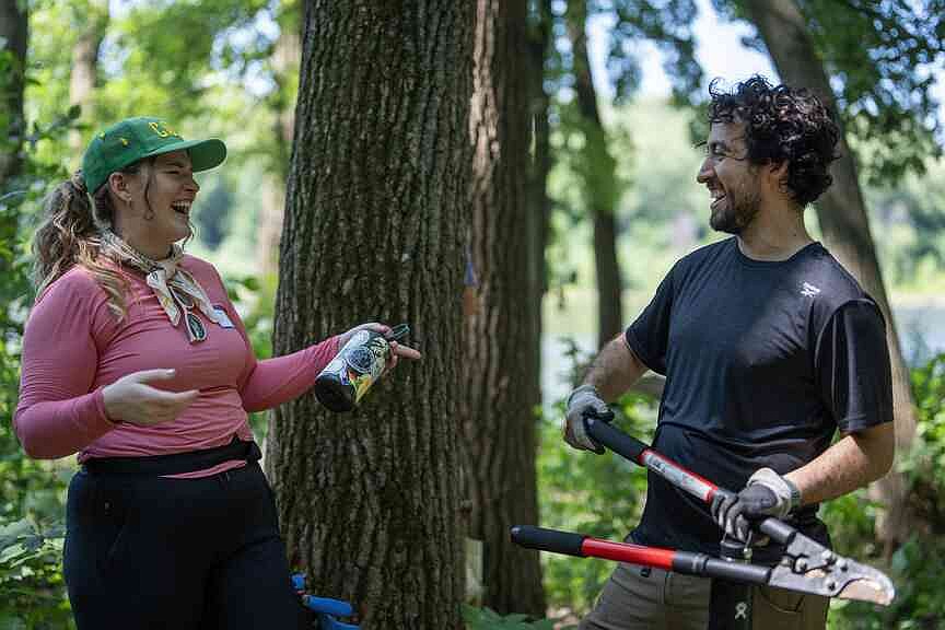 Minneapolis buckthorn singles club uproots invasives, cultivates love