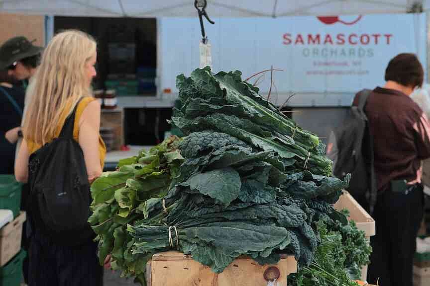 Summer of recalls exposes holes in nation’s food safety net | Jefferson City News-Tribune