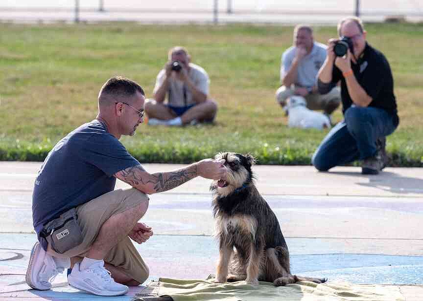 Rescue dogs show off for crowd at Puppies for Parole performance | Jefferson City News-Tribune