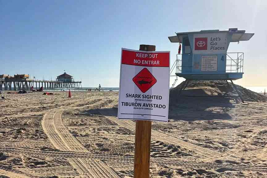 ‘Aggressive’ great white shark spotted in waters off Huntington Beach
